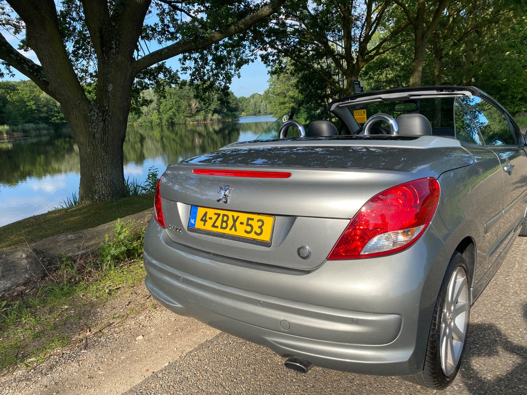 54339993-3.jpg